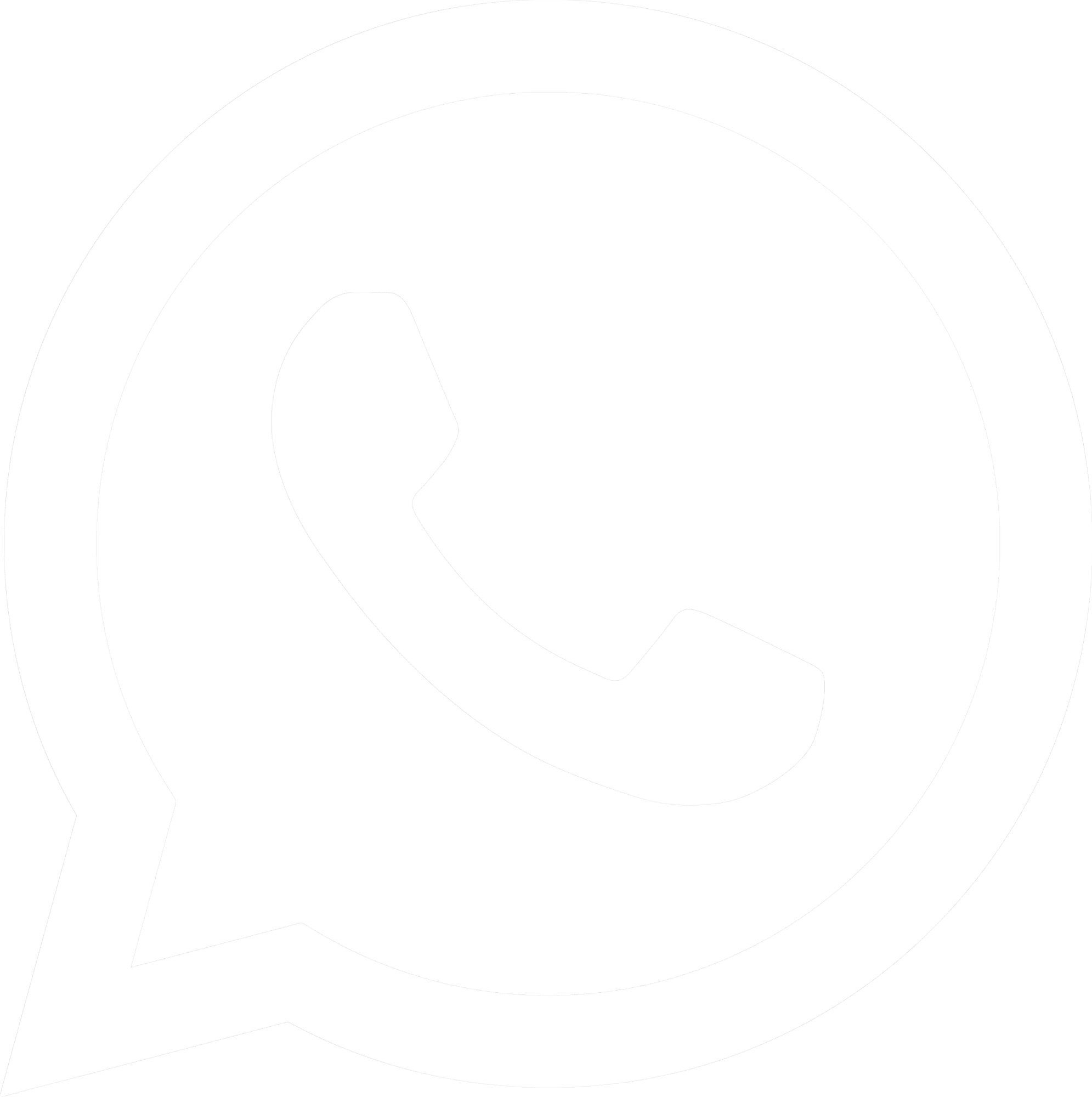 Icona Whatsapp