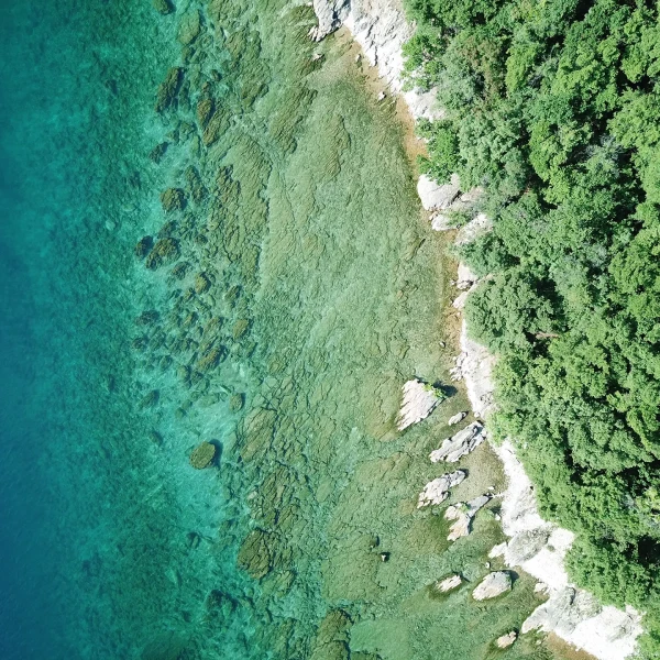Aerial view of a rocky shoreline with clear turquoise water and dense green forest.