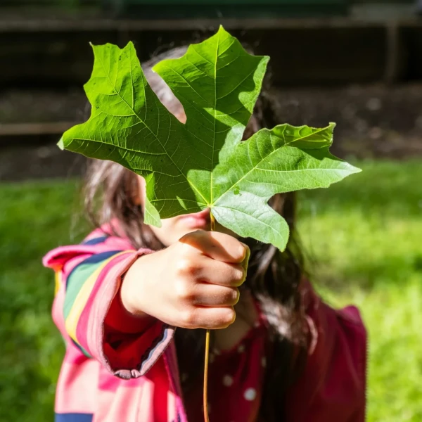 alan-rodriguez-usia1hcizk8-unsplash