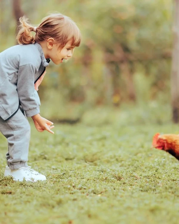 Bambina che gioca con una gallina all'aperto su un prato verde.