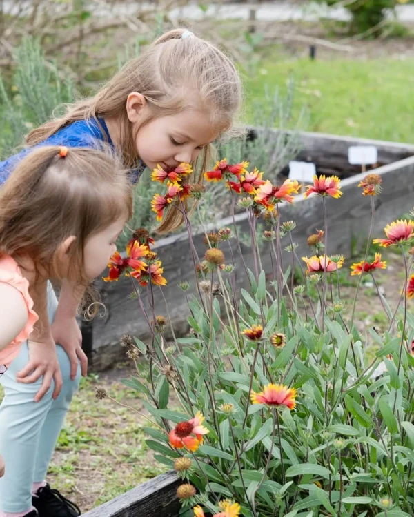 Due bambine annusano fiori colorati in un giardino.