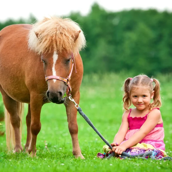 Bambina sorridente seduta sull'erba accanto a un pony marrone.